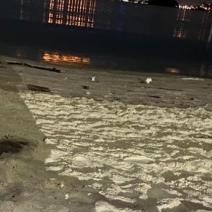 noah16589841362's profile picture. 