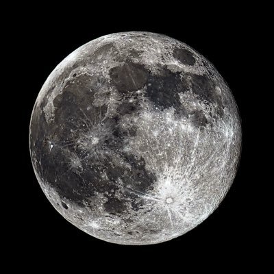 0xmaark's profile picture. 