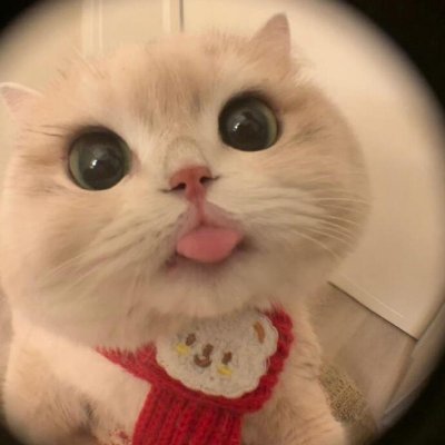 qgaet7's profile picture. Everything needs sunshine, life needs direction, a new day, greet the most beautiful self with the best state🎀