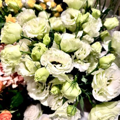 GsgsVasquez's profile picture. アート、音楽、そして楽しい会話を通して人と繋がるのが大好きです。好奇心旺盛で、常に次の冒険への準備ができています！