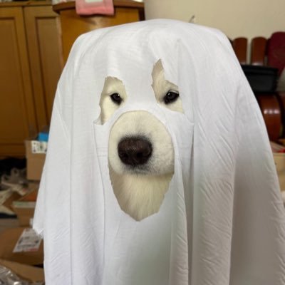 _kathyhoshi's profile picture. when my life hurts, @hongshihoshi03 and @jisangakira heal — #kthsupdate