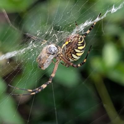 przeman18's profile picture. Senior Software Engineer(Android) @RevolutApp