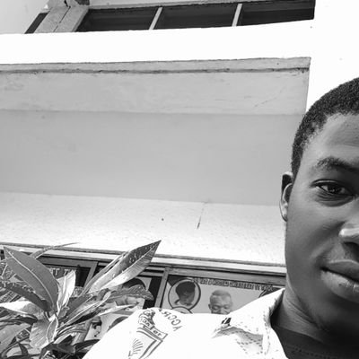 nbashykid's profile picture. 