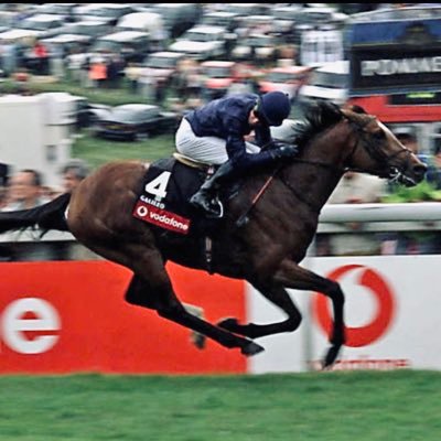 CRacing7's profile picture. predicting the future🐎💷