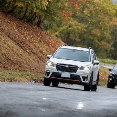 y_pon0717's profile picture. SHフォレスター→SKフォレスター Xブレイク スノーボード 日本酒 楽ウマ料理 ツイ廃 誤字脱字多いのはスルーしてください