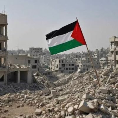 basmwshah25's profile picture. 💔 Eldest of 5 in Gaza | Father killed 💥 | Caring for siblings in a torn tent ⛺ Sister burned, another sick, all starving fighting to keep them alive