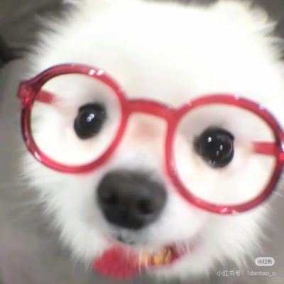 chfruitt's profile picture. Fan account