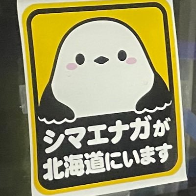 grs191350's profile picture. 道南