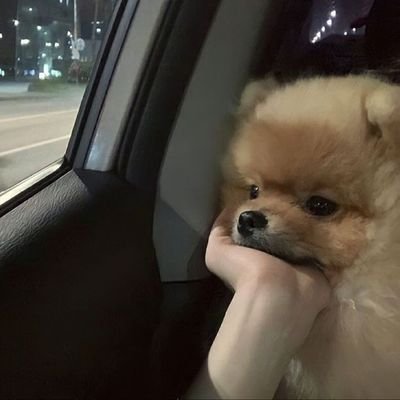 gdr9nt's profile picture. ขอให้โลกนี้ใจดีกับทุกคน รวมถึงเราด้วยได้มั้ย🥹