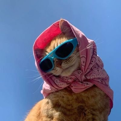 hopeshirleyy's profile picture. ~with the heart of another era | Chaotic Curator