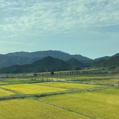 gentle_yasao's profile picture. 