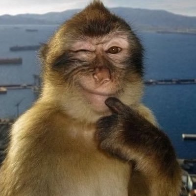 thak_gyahu_vro's profile picture. Bhai | realist | swiss-army knife at @blockwee | avg instincts enjoyer | Prev @hashedem