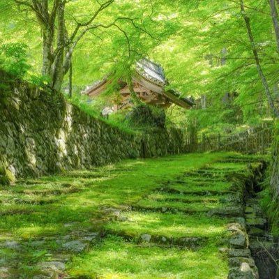 oqpvoOL05N74159's profile picture. 北海道に生まれ愛知で育ち長く東京に住むこの穏やかな日本🇯🇵をこよなく愛す日本男子です。安倍さん亡き後、切望して今高市さんの首相就任を誰よりも喜んでいます。この国を取り戻し、子供達に残したいと願っています。本アカたつやん🍀復活までの臨時アカ💦です。（DMは基本やりません）