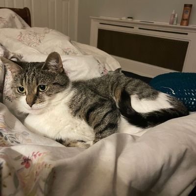 JCroft70809's profile picture. 