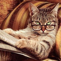 Anubisdu73's profile picture. 