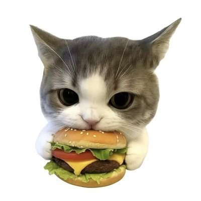 MiGua34505's profile picture. 