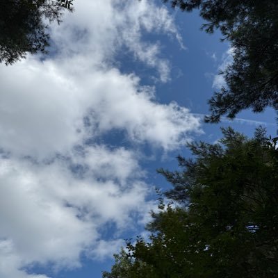 ranaharu913271's profile picture. 