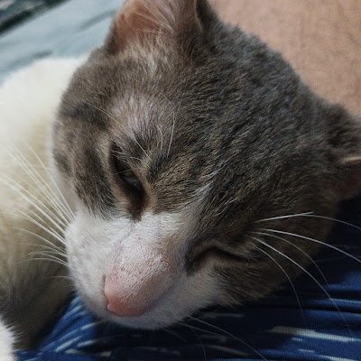 AlexanderV96049's profile picture. 