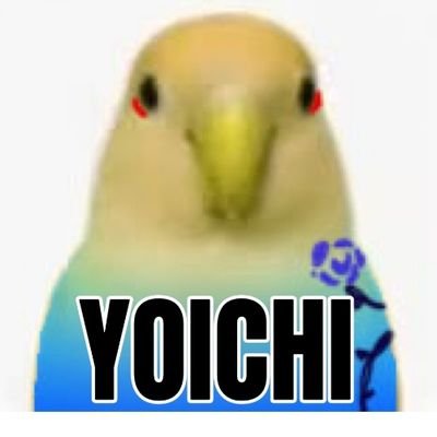 dbmy_ki's profile picture. 20⬆️|雜多|kiis🌹🌱|kis左isg右固定|圖都是委託|RT多|中/En⭕日苦手