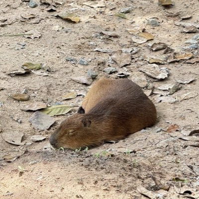 Wolverineonfire's profile picture. brand new person