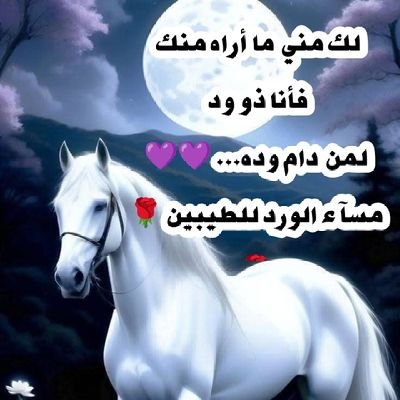 ashrafawad248's profile picture. اشــAwADـــرف ‏‏مواطن مصري مازال يحلم بوطن