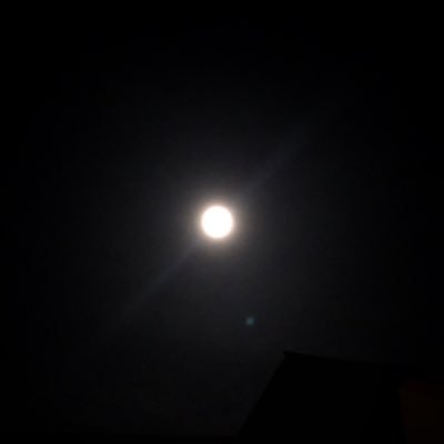 IYOYA_LyricsBot's profile picture. 雑音アカウントが凍結に…