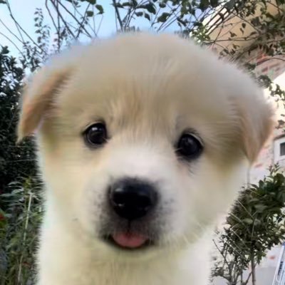 ooanng_'s profile picture. 스트리머얘기 #스트 뮤트 해주세요 @@@@@ 롤 얘기 #롤 뮤트해주세요 @@@@@ 안녕하세요잼얘공유해드리겠습니다저혼자떠들어요블블하세요티원얘기좀합니다스트리머얘기는하트만누릅니다에스파얘기도하는데제얘기를더많이합니다감사합니다