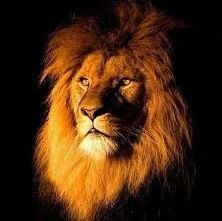 Braa1386595's profile picture. 