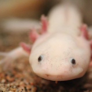 FeekMk22's profile picture. お姉ちゃん @Mil_official_ Love @WooPerMk2 @seXnchan 相棒 @DezeR__GG うぱさん目指してます︎︎︎︎👍🏻︎︎