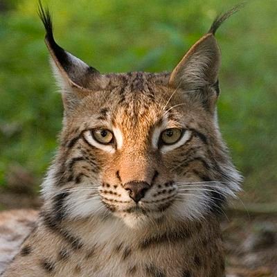 princep0lo_'s profile picture. Concept artist, pixel artist.
Open to collaborations.
Support my work here: https://t.co/EnyzF6ztUW