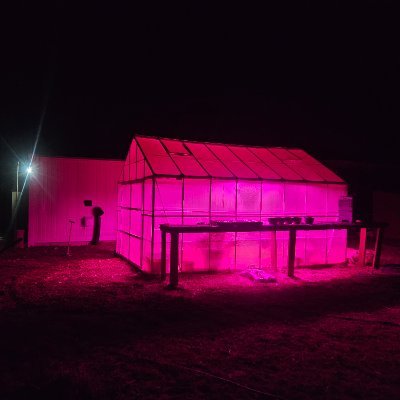 OEMushrooms's profile picture. the worlds most eco friendly and efficient indoor portable commercial mushroom farm. Based out of Santee, SC and delivering to the greater Charleston SC area.