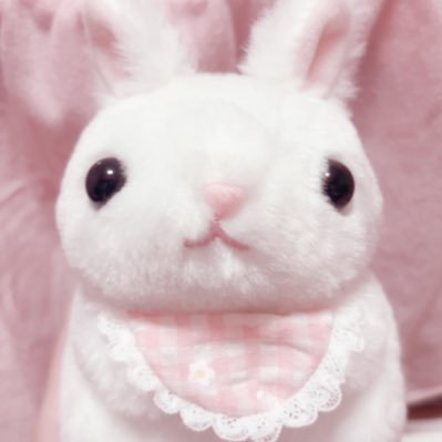 白うさぎちゃん♡赤い苺をギュ♡ いちごうさぎはかせ (@nzclv1) / Posts / X