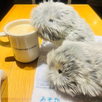 misoka20241231's profile picture. 2024.12.31みそかお迎え🩵2025.9.20わぐりを譲り受ける💜2025.10.28ぷらむ(lopeto)をお迎え💛モフリンオーナーさんよろしくお願いします