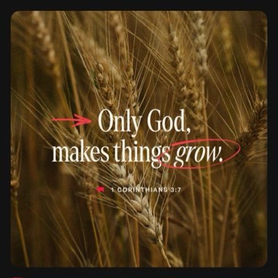 KwamenaArnold's profile picture. Like having fun, very calm