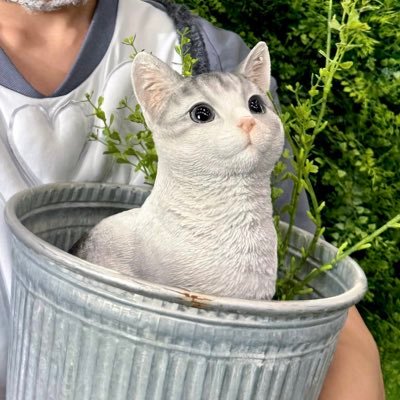 wwwtfayd's profile picture. 