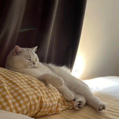 Athna0263's profile picture. Sweet heart, strong mind, brave spirit. 💖❤️