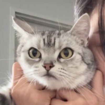 milibobibron's profile picture. @wimlocaldyke backup account #mimiv (tp only)