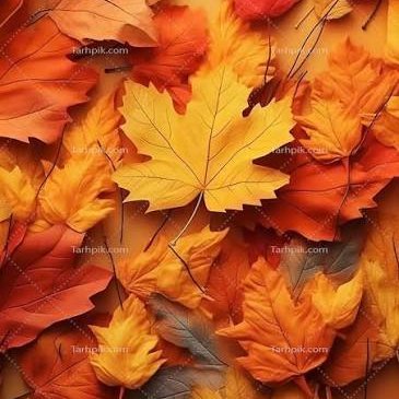 Parisa1420's profile picture. ......پاییز