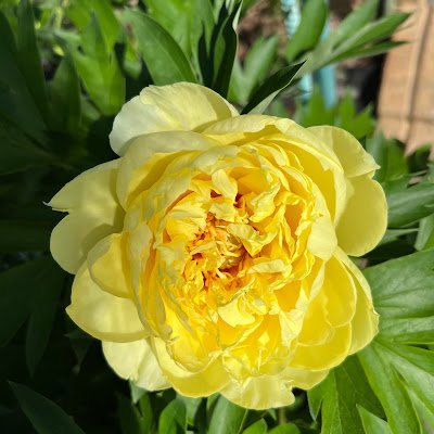 corarg142's profile picture. 