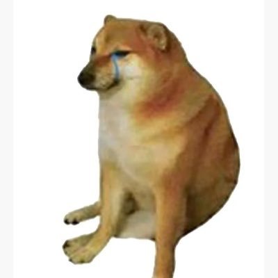 hensoku4ne's profile picture. (取引実績837) shein死ね