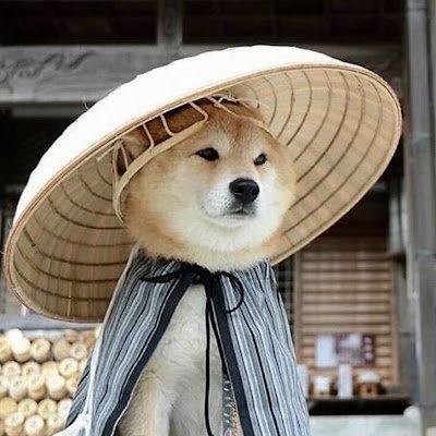 cofferouo's profile picture.