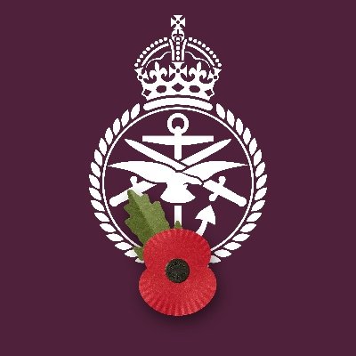 DefenceHQ's profile picture. Secure at home and strong abroad.  Official X channel for UK Ministry of Defence.