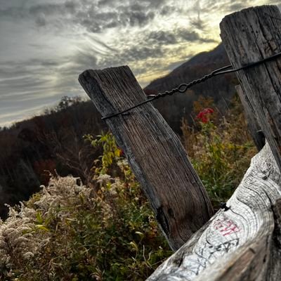 tdjer93's profile picture. ✝️•Mommy to an angel Alex 9/1/15. Auntie to Arabella 2/22, Haisley 2/1, Cooper 06/08 . My passion is to take pictures. Psalms 100:1-5🎶