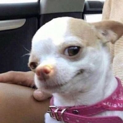 yen_thaw72744's profile picture. 🔥น้องลูกไฟเป็นคนดี น้องลูกไฟไม่ผิด🌿