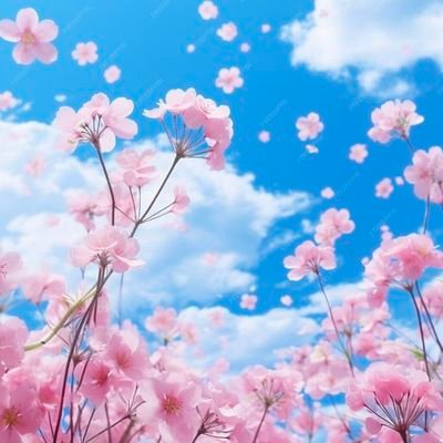 Einna_y16's profile picture. You will face many defeats in life, but never let yourself be defeated.

Anji • Kolette • Willca