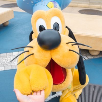 fanhouse_forest's profile picture. 🦴🦴🦴