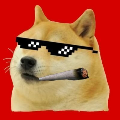 RaffuChutLover's profile picture. ChutLover