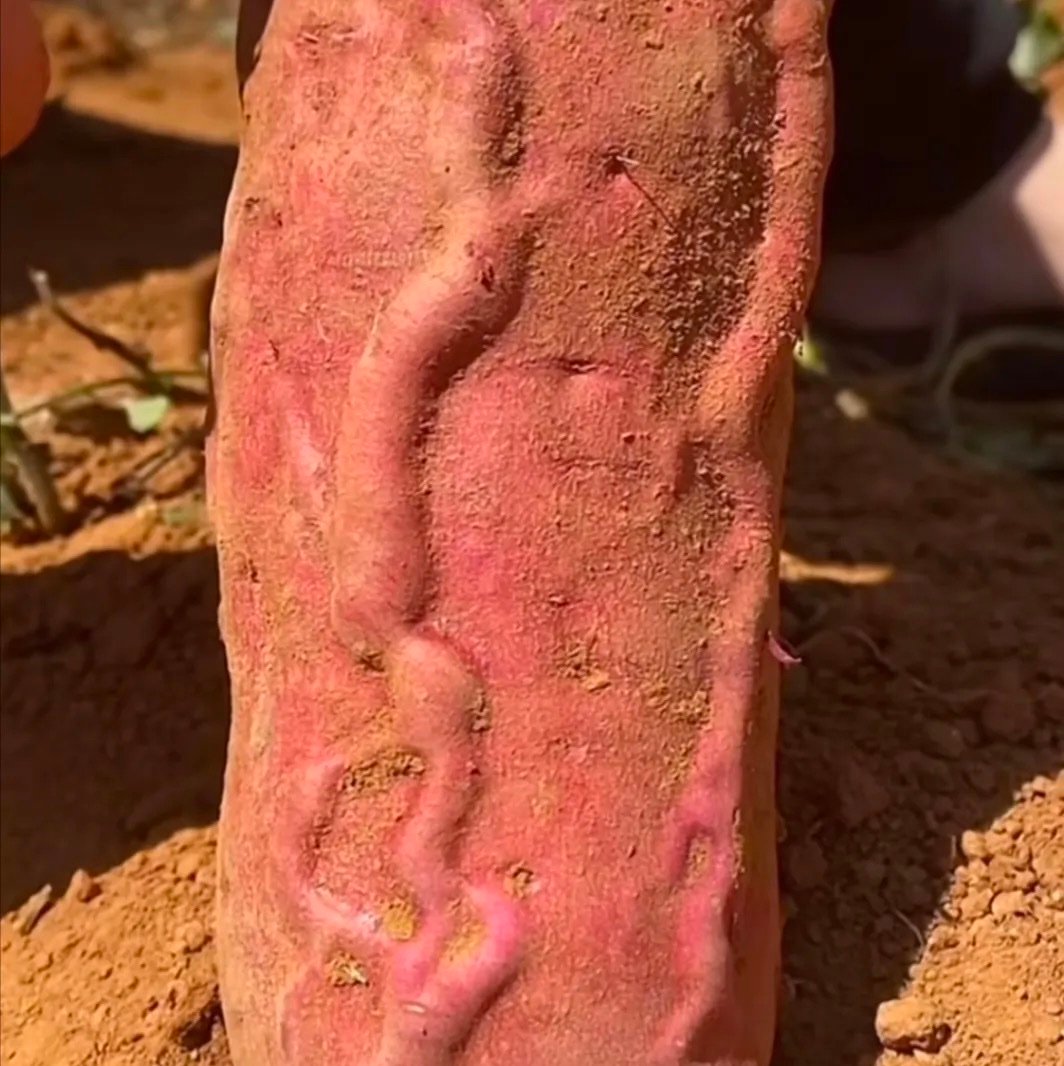 Yunlongjh's profile picture. 