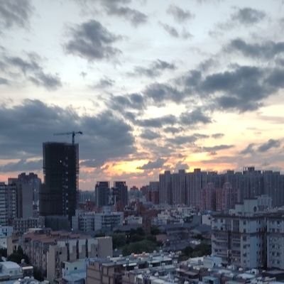 qing_yi20453's profile picture.