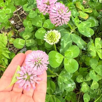 AkemiT57914's profile picture. 